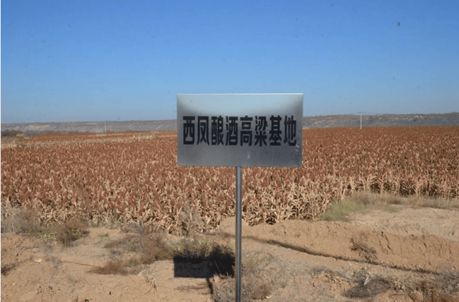 西鳳酒：品嘗千年歷史<strong></p>
<p>西鳳酒
</strong>，展現(xiàn)中國酒文化:西鳳酒
