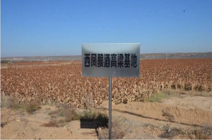 西鳳酒：展現(xiàn)傳統(tǒng)釀造技藝<strong></p>
<p>西鳳酒
</strong>，卓越品質續(xù)寫華章:西鳳酒
