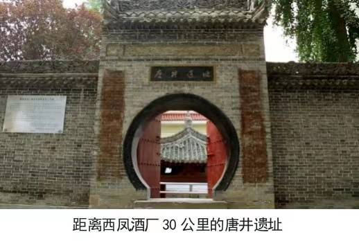 西鳳酒：傳承釀造經(jīng)典，品味醉美鳳香:西鳳酒
