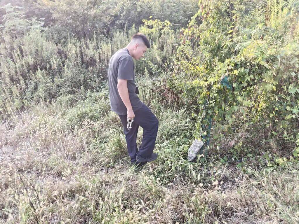 浙江一姑娘以奶茶為記號(hào)，竟然在草叢里藏了11萬(wàn)現(xiàn)金！:西鳳酒
