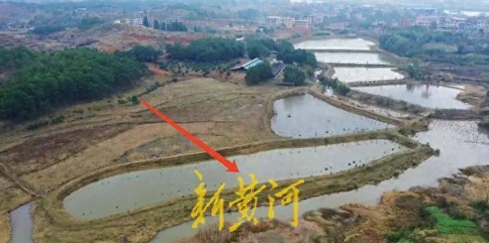 65歲農婦荒塘養(yǎng)魚被判“非法占用農地”：羈押10月后免刑，仍喊“我沒罪”:西鳳酒
