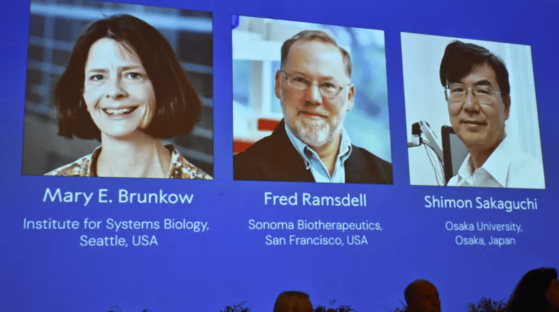 金燦榮：中國也許永遠(yuǎn)不會出現(xiàn)日本式的“諾貝爾獎井噴”:西鳳酒
