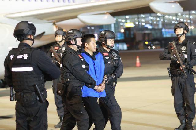 性質(zhì)極其惡劣，手段極其殘忍！緬北劉家犯罪集團(tuán)專案詳情披露:西鳳酒
