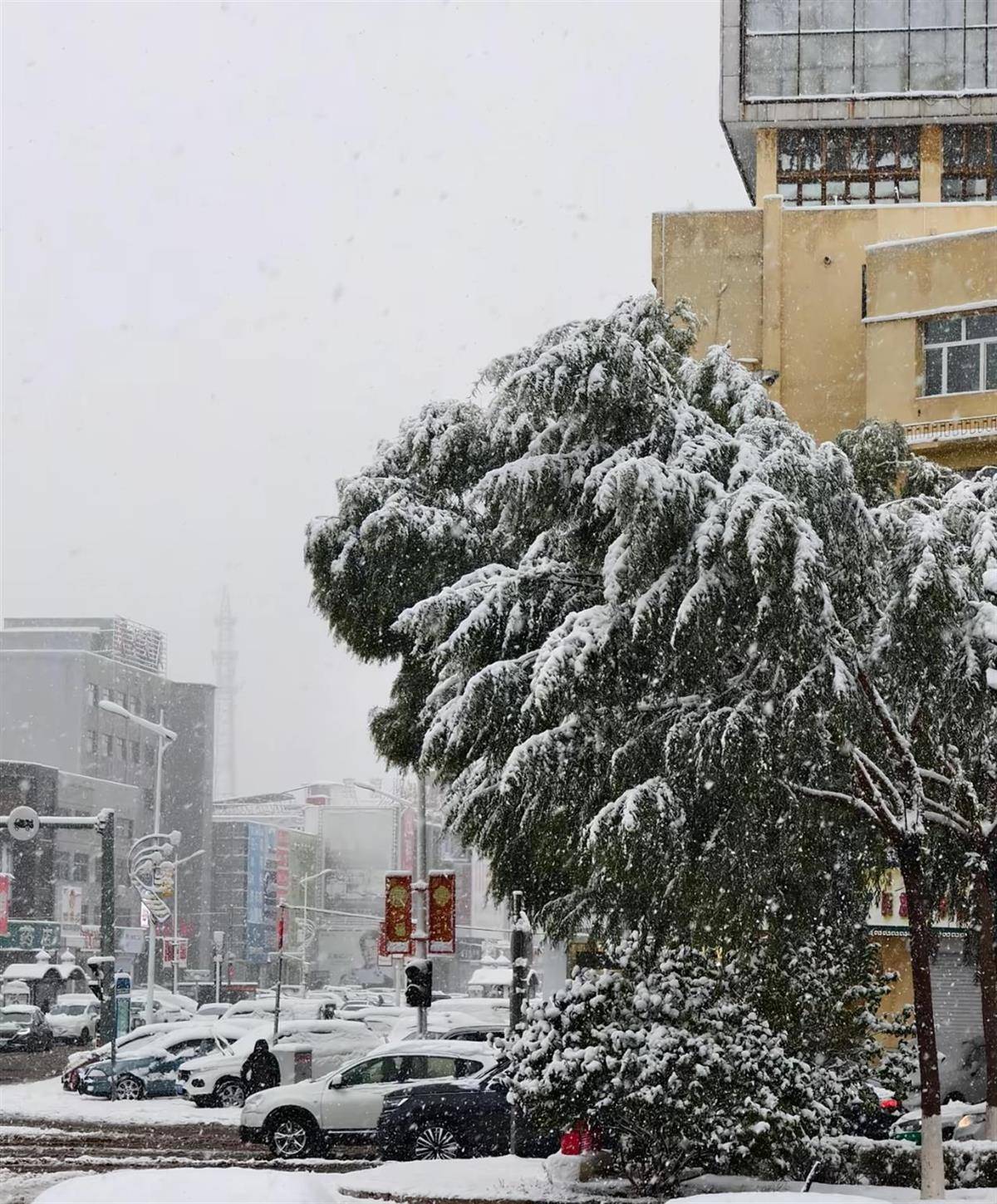 北方多地迎來第一場(chǎng)雪<strong></p>
<p>西鳳酒
</strong>，黑龍江局地已出現(xiàn)暴雪，積雪深5厘米，氣象專家稱今年初雪略提前:西鳳酒
