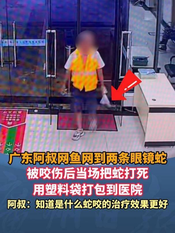 廣東62歲阿叔網(wǎng)魚網(wǎng)到2條眼鏡蛇<strong></p>
<p>西鳳酒
</strong>，被咬傷后當(dāng)場打死，并打包提進(jìn)醫(yī)院:西鳳酒
