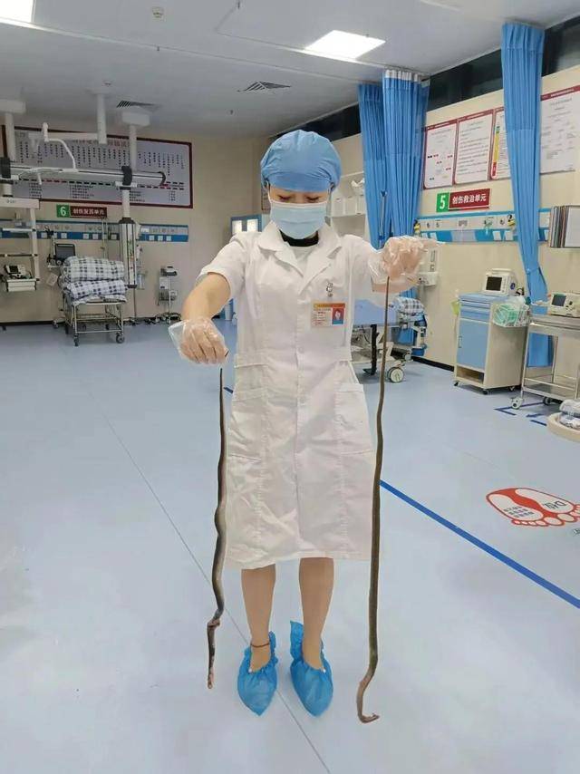 廣東62歲阿叔網(wǎng)魚網(wǎng)到2條眼鏡蛇<strong></p>
<p>西鳳酒
</strong>，被咬傷后當(dāng)場打死，并打包提進(jìn)醫(yī)院:西鳳酒
