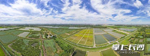 荒灘變綠洲 湖畔起樂園|一江碧水向東流:西鳳酒