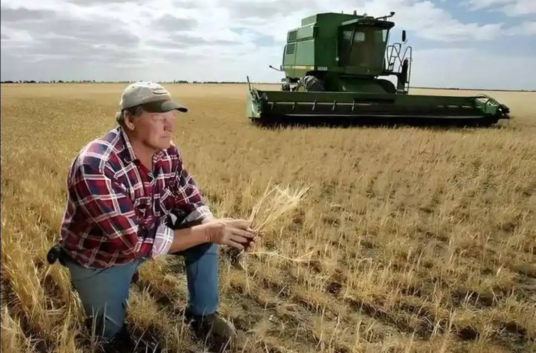 稀土卡脖子<strong></p>
<p>西鳳酒
</strong>，美方軍工企業(yè)停擺！美財長喊話：開出取消關(guān)稅的條件，美農(nóng)戶輸慘了:西鳳酒
