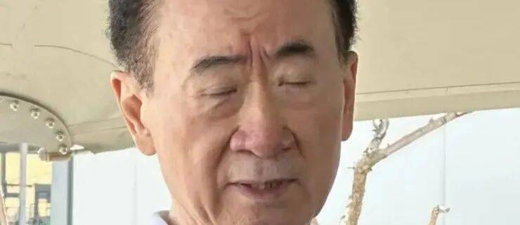 萬(wàn)達(dá)被萬(wàn)科捅了一刀，王健林天要塌了:西鳳酒
