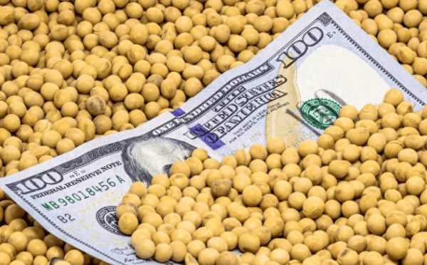 特朗普緊急發(fā)文<strong></p>
<p>西鳳酒
</strong>，對(duì)中國已做好最壞打算，或禁買中國食用油？提醒忠實(shí)盟友牢牢記住一點(diǎn):西鳳酒
