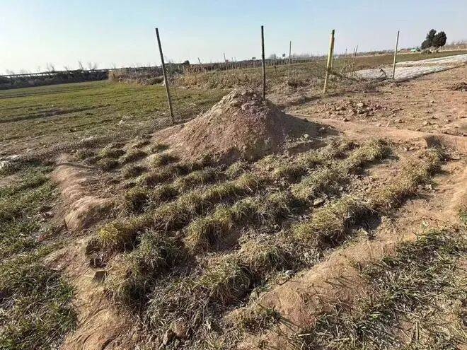 最新！三姐妹為父上墳被炸死案<strong></p>
<p>西鳳酒
</strong>，大伯王某東已被執(zhí)行死刑:西鳳酒
