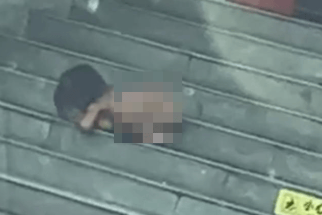 多部門回應(yīng)高速服務(wù)區(qū)現(xiàn)“野人小孩”：孩子能說會走<strong></p>
<p>西鳳酒
</strong>，當?shù)爻闪⒐ぷ餍〗M聯(lián)合處置:西鳳酒
