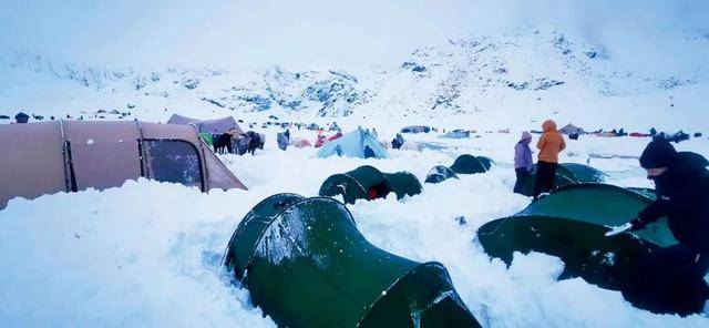 一年死亡近百人<strong></p>
<p>西鳳酒
</strong>，他們?yōu)槭裁催€要去？:西鳳酒
