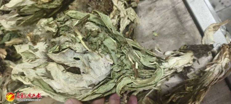 烏魯木齊貨車司機(jī)接了一單“玫瑰花”生意<strong></p>
<p>西鳳酒
</strong>，背后竟?fàn)砍?00萬(wàn)大案:西鳳酒
