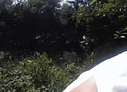 詭異！浙江男子獨(dú)自前往公墓<strong></p>
<p>西鳳酒
</strong>，偷偷塞了一大筆錢！民警順藤摸瓜還搜出了假發(fā)、人臉面具……:西鳳酒
