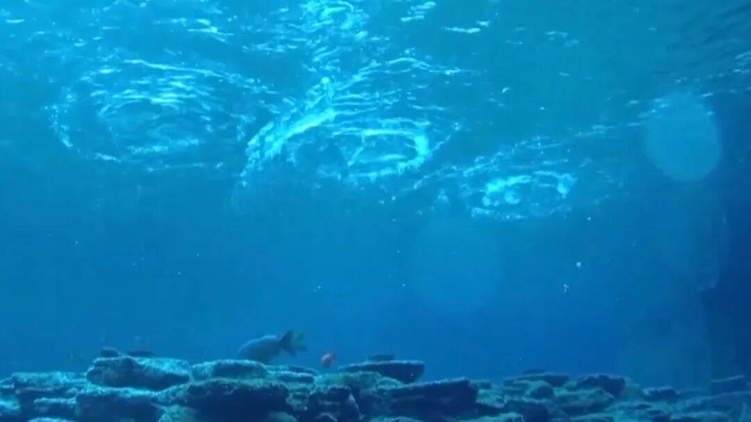 趵突泉“水涌若輪”是靠水泵？專家辟謠<strong></p>
<p>西鳳酒
</strong>，央視揭秘真相:西鳳酒
